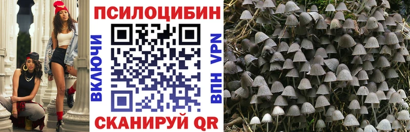 mega ССЫЛКА  Шагонар  Псилоцибиновые грибы Psilocybe 