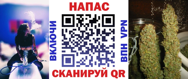omg ТОР  Шагонар  Бошки Шишки ГИДРОПОН 